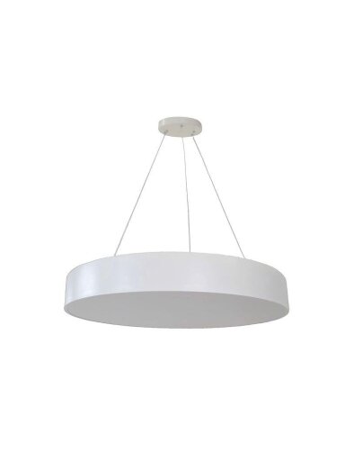 Kabamasis šviestuvas TOPE MORA, 40 W, LED