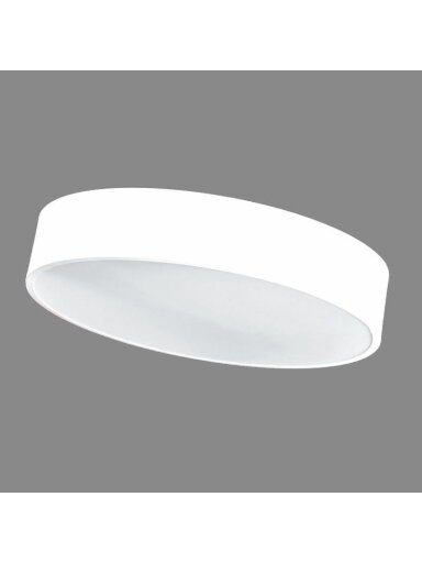 Kabamasis šviestuvas TOPE MORA, 40 W, LED