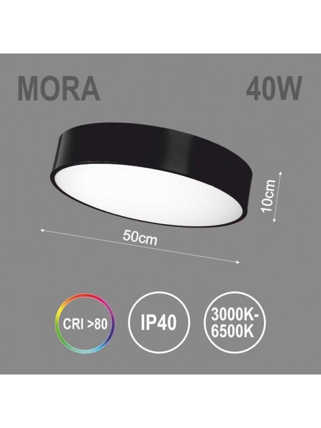 Kabamasis šviestuvas TOPE MORA, 40 W, LED 2
