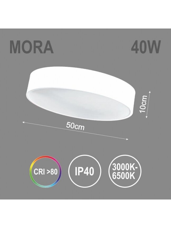 Kabamasis šviestuvas TOPE MORA, 40 W, LED 2