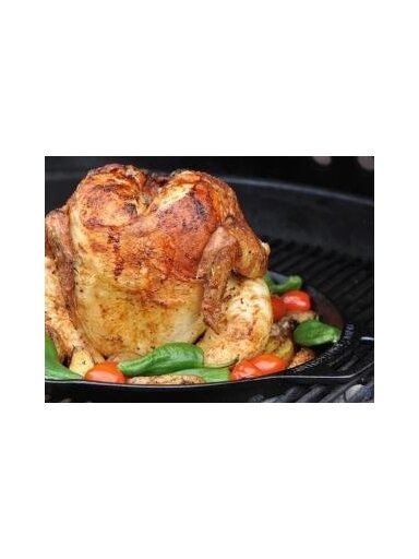 Ketaus stovelis vištai ROASTER