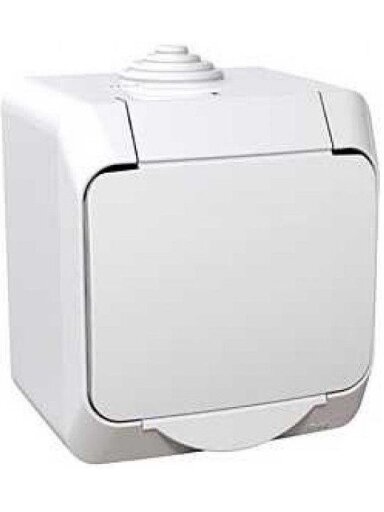 Kištukinis lizdas SCHNEIDER CEDAR PLUS, IP44