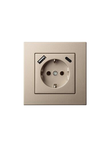 Kištukinis lizdas,USB A+C kroviklis Liregus Epsilon,šampano