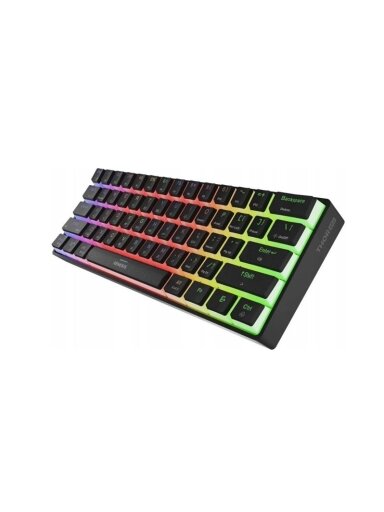 KLAVIATŪRA GENESIS THOR 660 G2 RGB