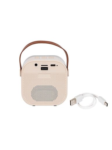 KOLONĖLĖ BELAIDĖ BLOW KARAOKE RGB