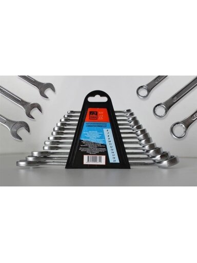 Kombinuotų raktų komplektas WMC TOOLS  5123 12 vnt