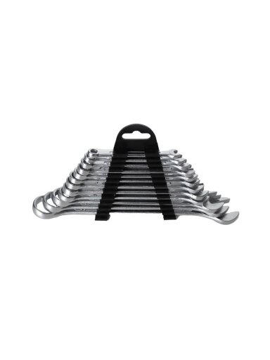 Kombinuotų raktų komplektas WMC TOOLS  5123 12 vnt