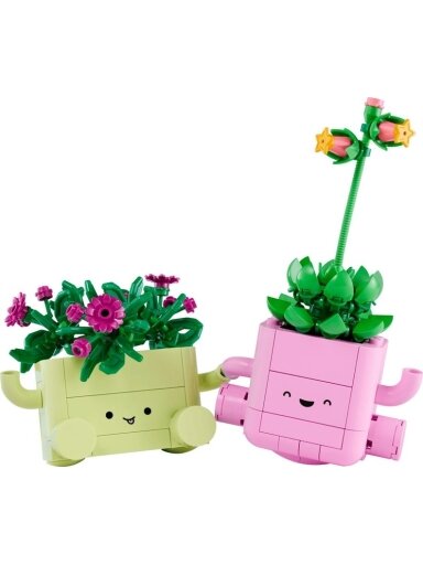 KONSTR ROCKING PLANTS