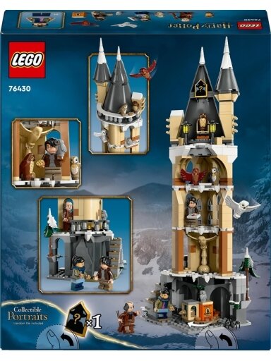 Konstrukt LEGO Harry Potter Hogvartso pilies pelėdynas 76430