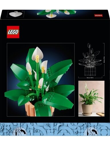 Konstruktorius LEGO® Botanicals 11504, 1000 vnt.