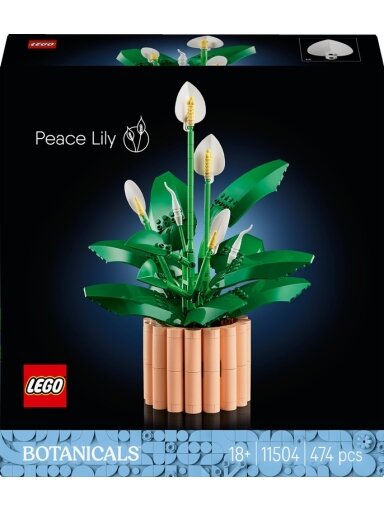 Konstruktorius LEGO® Botanicals 11504, 1000 vnt.