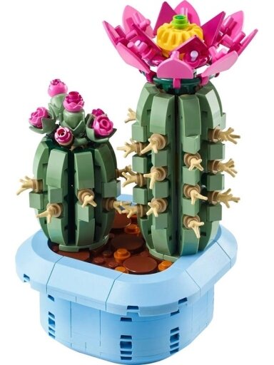 Konstruktorius LEGO® Botanicals 11509, 1000 vnt.