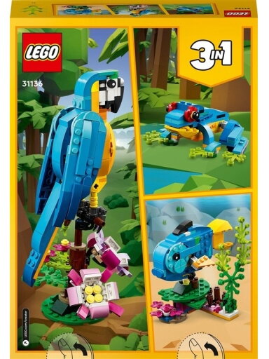 Konstruktorius LEGO Creator 3in1 Egzotiška papūga 31136