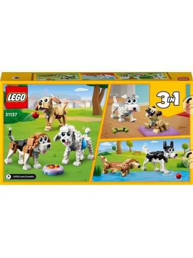 Konstruktorius LEGO Creator 3in1 Žavūs šunys 31137