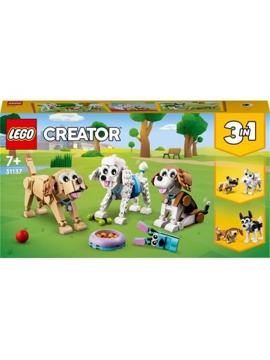 Konstruktorius LEGO Creator 3in1 Žavūs šunys 31137
