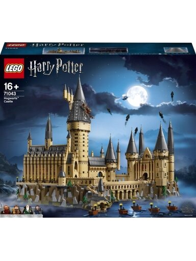 Konstruktorius LEGO Harry Potter Hogvarts71043, 6020 vnt.