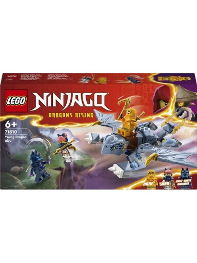 Konstruktorius LEGO® Ninjago Jaunasis drakoniukas Riyu 71810