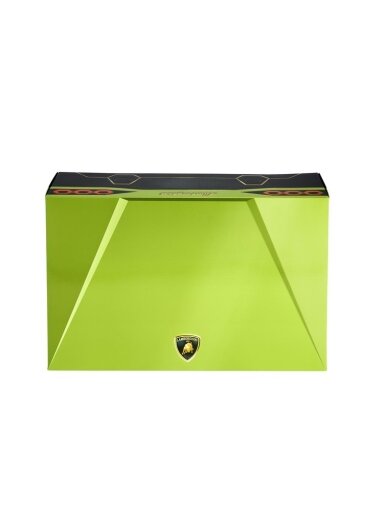 Konstruktorius LEGO® Technic™ Lamborghini 42115, 3696 vnt.