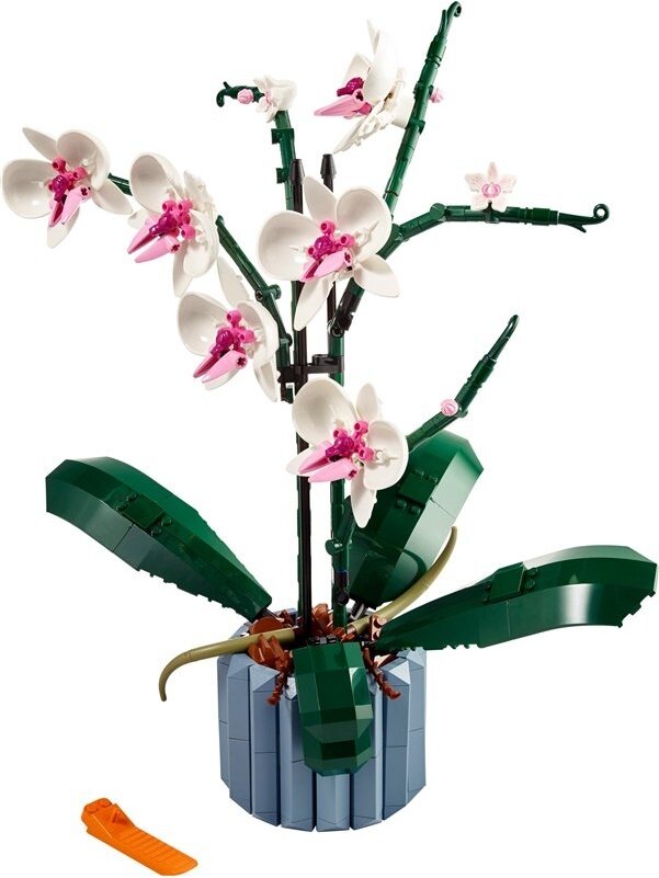Konstruktorius LEGO Orchidėja 10311, 608 vnt. 2