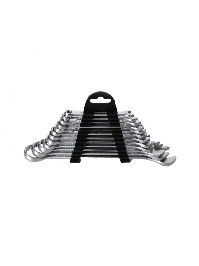 Kombinuotų raktų komplektas WMC TOOLS  5123 12 vnt