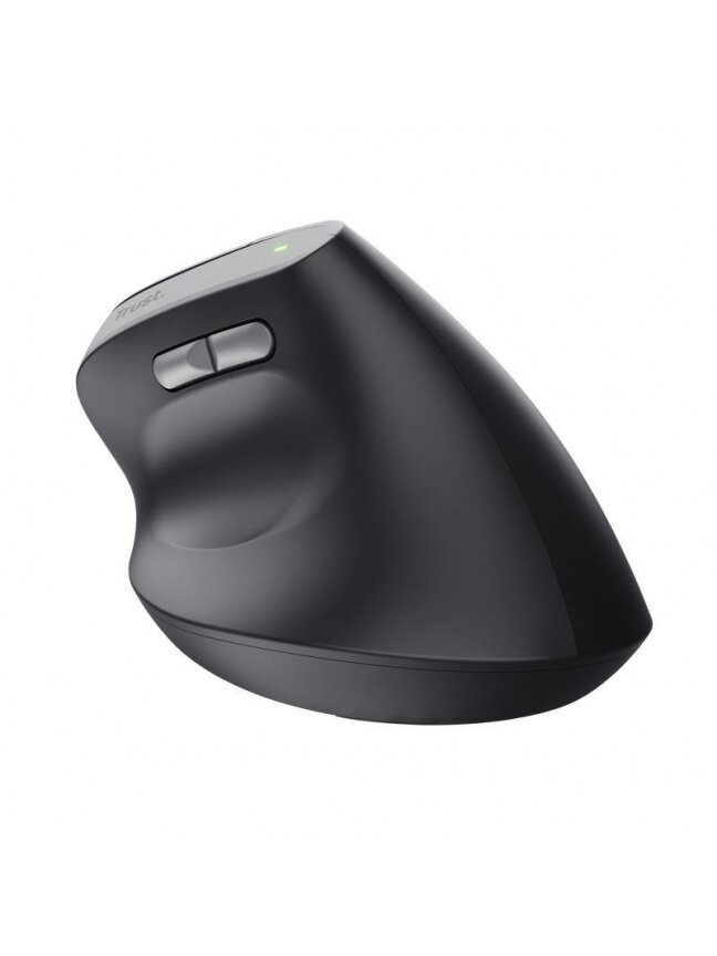 Kompiuterio pelė TRUST BAYO II ERGONOMIC, USB TYPE-C 2