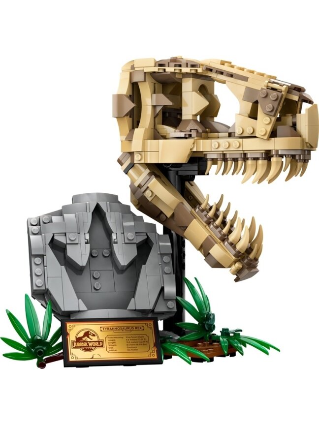 Konstruktorius LEGO® JURASSIC WORLD dinozaurų fosilijos 2