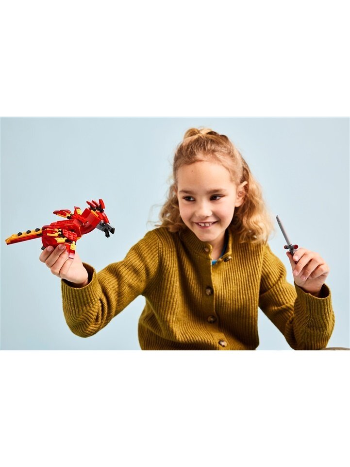 Konstruktorius LEGO® Harry Potter Dumbledore's Phoenix 2