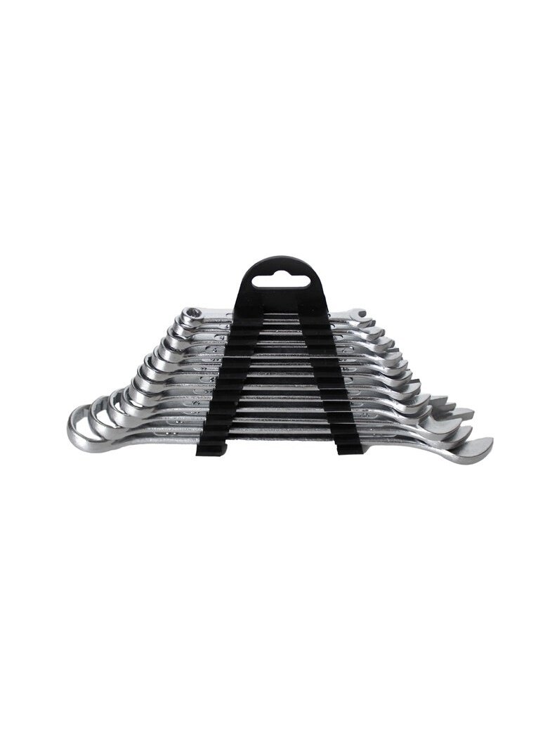 Kombinuotų raktų komplektas WMC TOOLS  5123 12 vnt