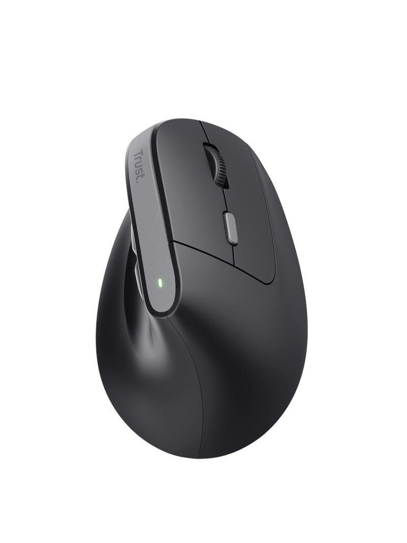 Kompiuterio pelė TRUST BAYO II ERGONOMIC, USB TYPE-C 1