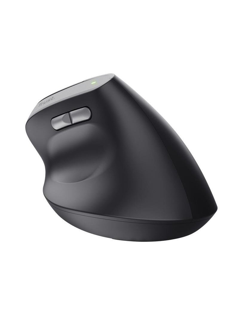 Kompiuterio pelė TRUST BAYO II ERGONOMIC, USB TYPE-C 2 Kompiuterio pelė TRUST BAYO II ERGONOMIC, USB TYPE-C 2
