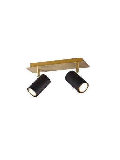 Kryptinis šviestuvas TRIO MARLEY, 35 W, 2 × GU10