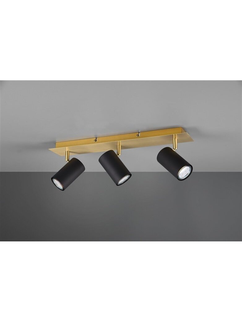 Kryptinis šviestuvas TRIO MARLEY, 35 W, 3 × GU10 1