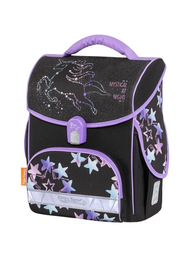 Kuprinė Tiger Family TGJT-001A, juoda/violetinė 1