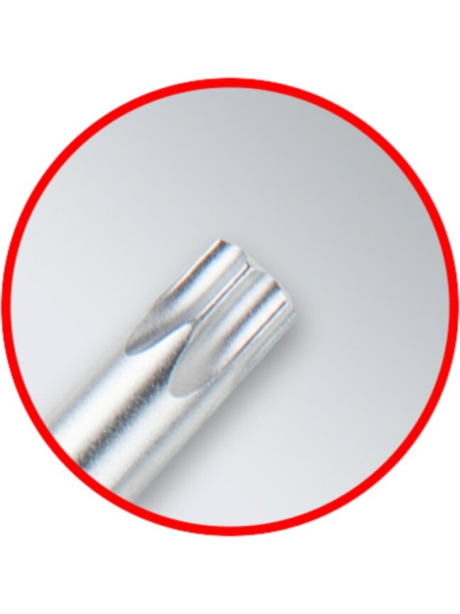 L- raktų komplektas TORX ,T8-T50, 10vnt, ilgi, KS Tools 5