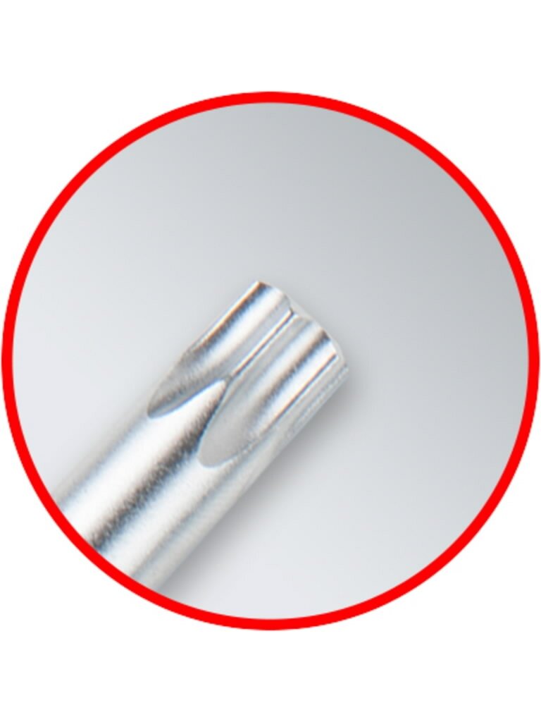 L- raktų komplektas TORX ,T8-T50, 10vnt, ilgi, KS Tools 5