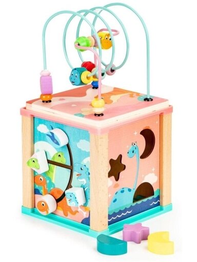 Lavinimo žaislas EcoToys HM015471