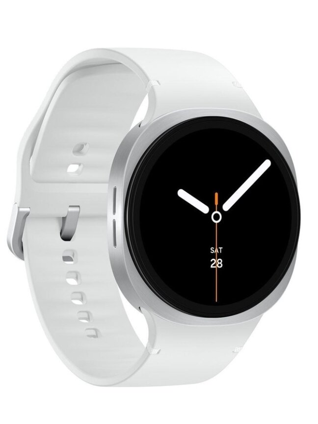 LAIKR IŠMAN SAMSUNG GW8 44MM BT SIDABRO 1