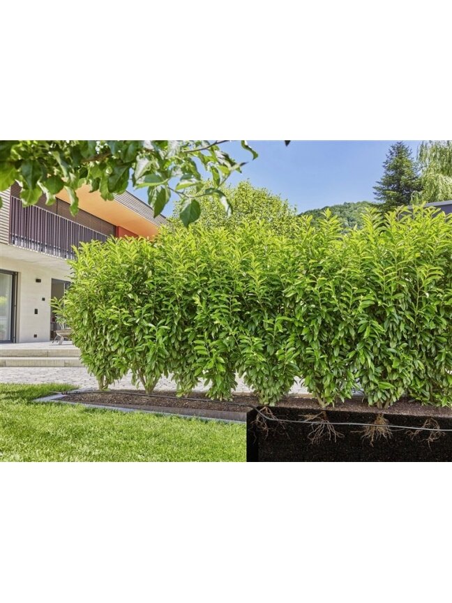 Laistymo sistema Gardena Micro Drip System 3 vnt. 2