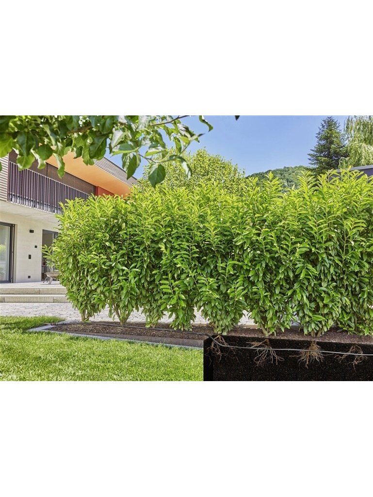 Laistymo sistema Gardena Micro Drip System 3 vnt. 2 Laistymo sistema Gardena Micro Drip System 3 vnt. 2