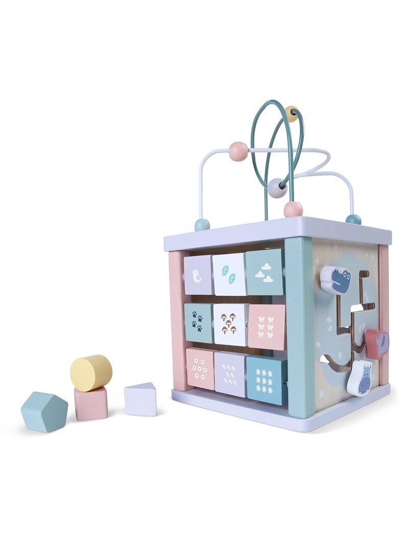 Lavinamasis kubas EcoToys EDUKACINIS KUBAS 1021