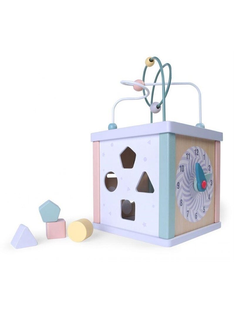 Lavinamasis kubas EcoToys EDUKACINIS KUBAS 1021 1