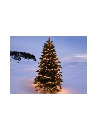 LED girlianda BLACK WW-560