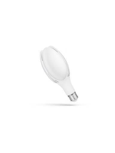 LED lemputė E27 PARK 50W 4000K 5350LM IP20