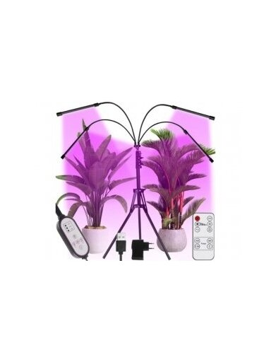 Lempa augalu augimui 4x20 LED