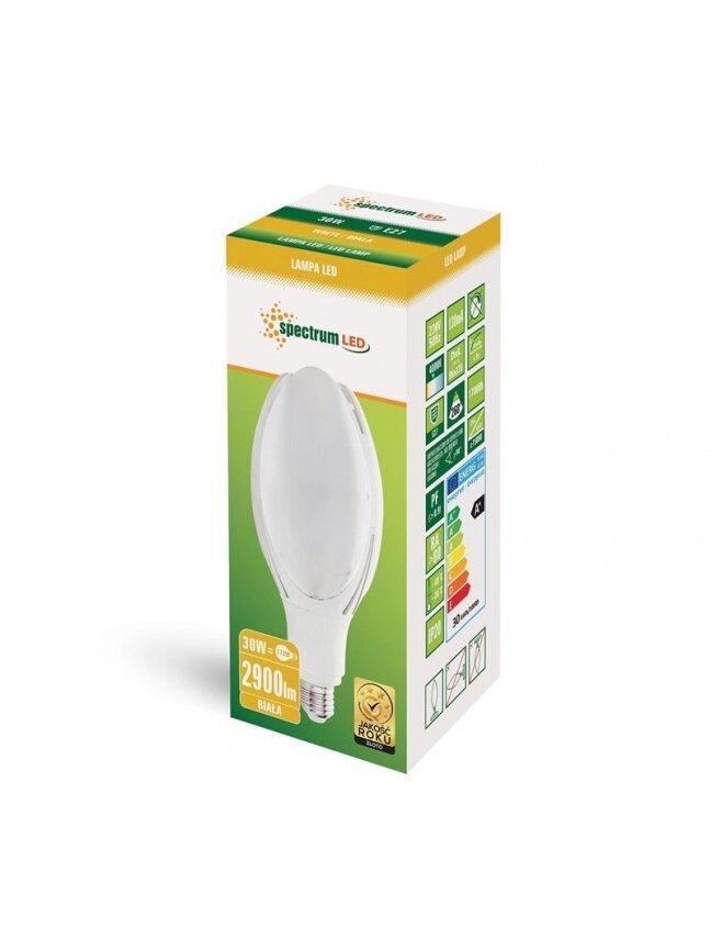LED lemputė E27 PARK 30W 4000K 3200LM IP20 1 LED lemputė E27 PARK 30W 4000K 3200LM IP20 1