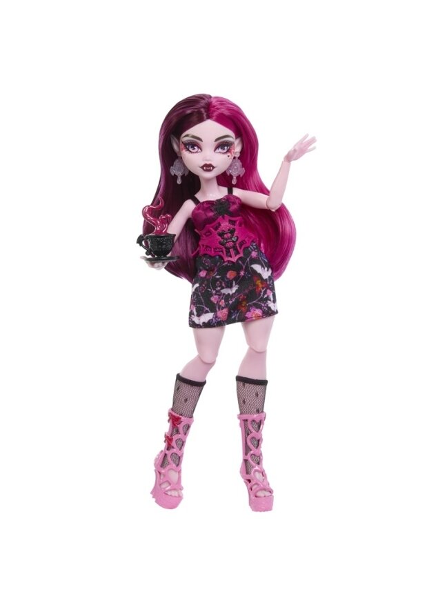 Lėlė Monster High Draculaura HYT72, 32 cm 2