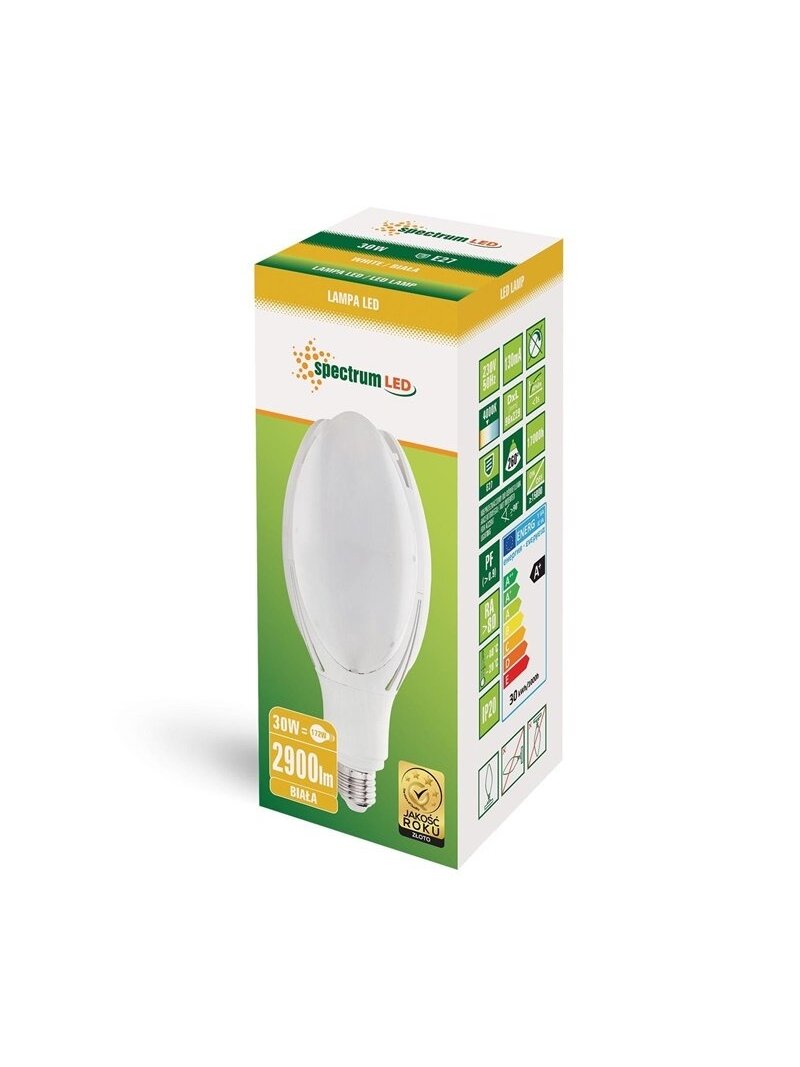 LED lemputė E27 PARK 30W 4000K 3200LM IP20 1