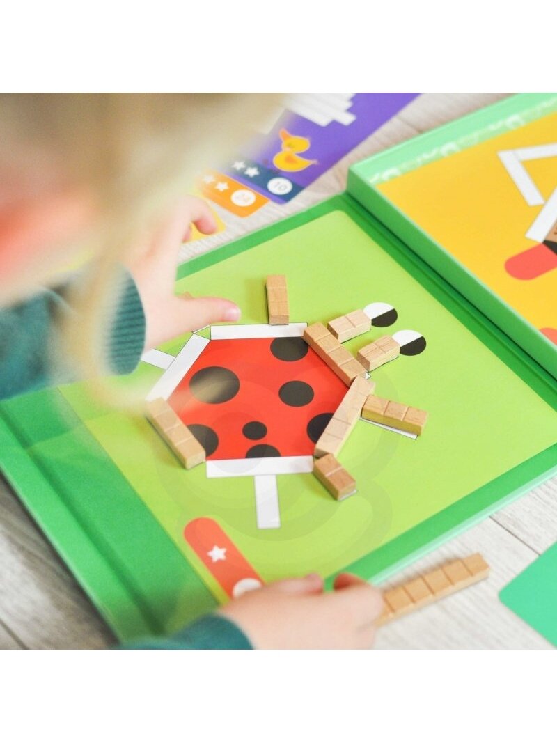Magnetiniai Blokeliai Vaikams TOOKY TOY 12