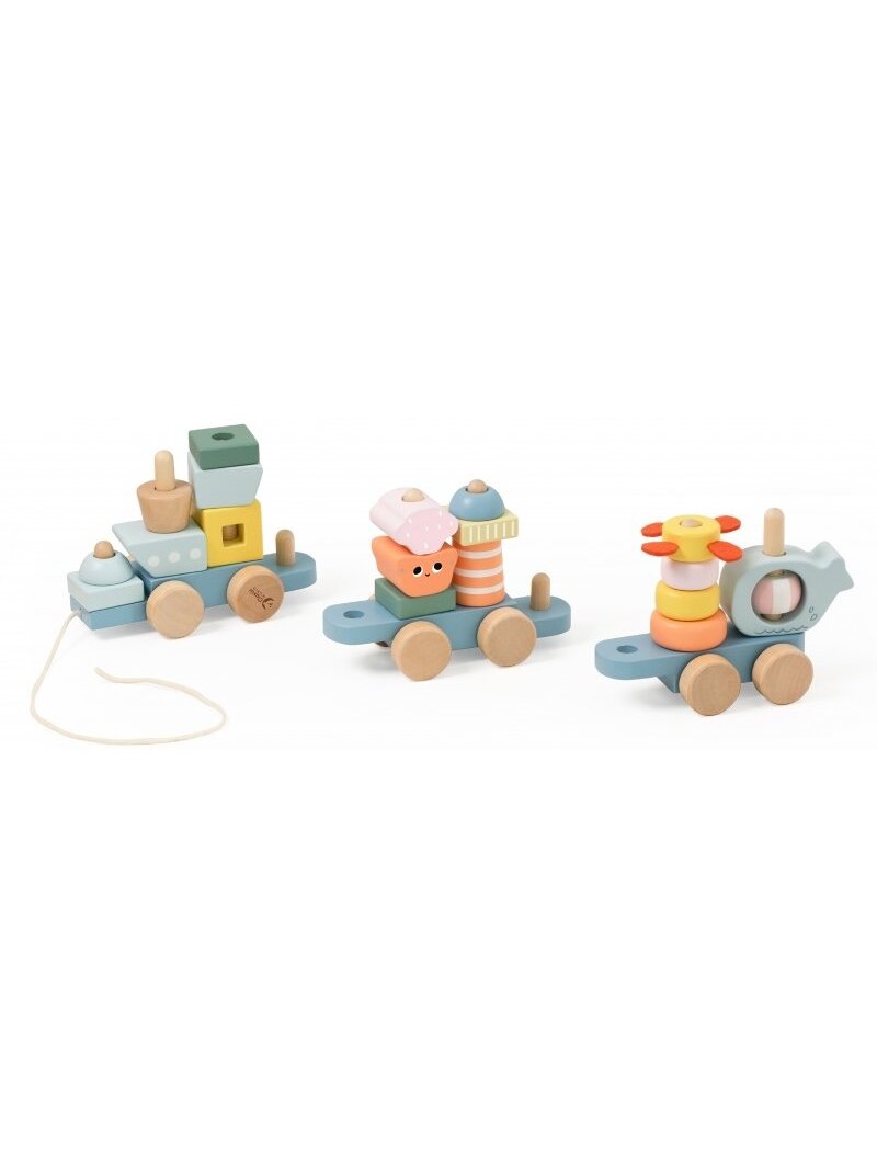 Medinės Traukinio kaladėlės CLASSIC WORLD Montessori 2