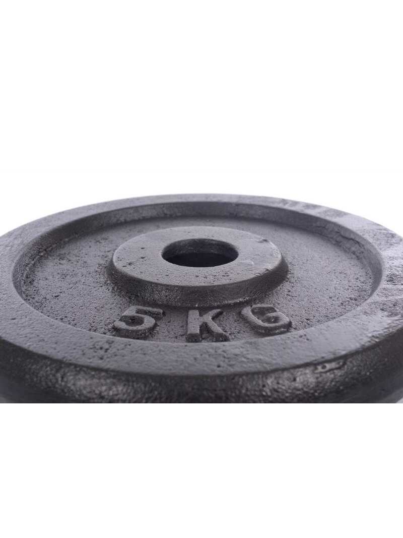 Metalinis diskas štangoms ir hanteliams 5kg (31,5mm) 2 Metalinis diskas štangoms ir hanteliams 5kg (31,5mm) 2